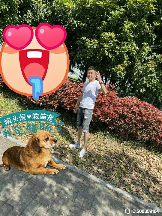 我若不坚强谁替我勇敢的第五张照片--合肥蓝颜知己交友网